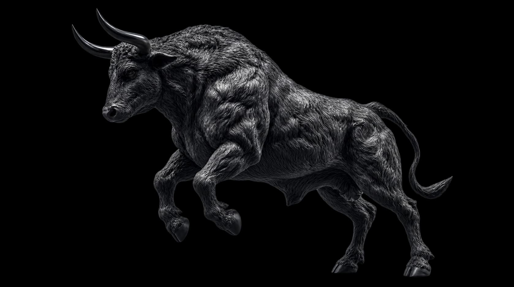 Powerful bull charging forward